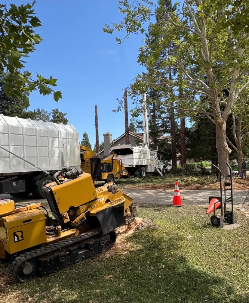 Stump grinder, chipper, and bucket truck working a residential tree removal
