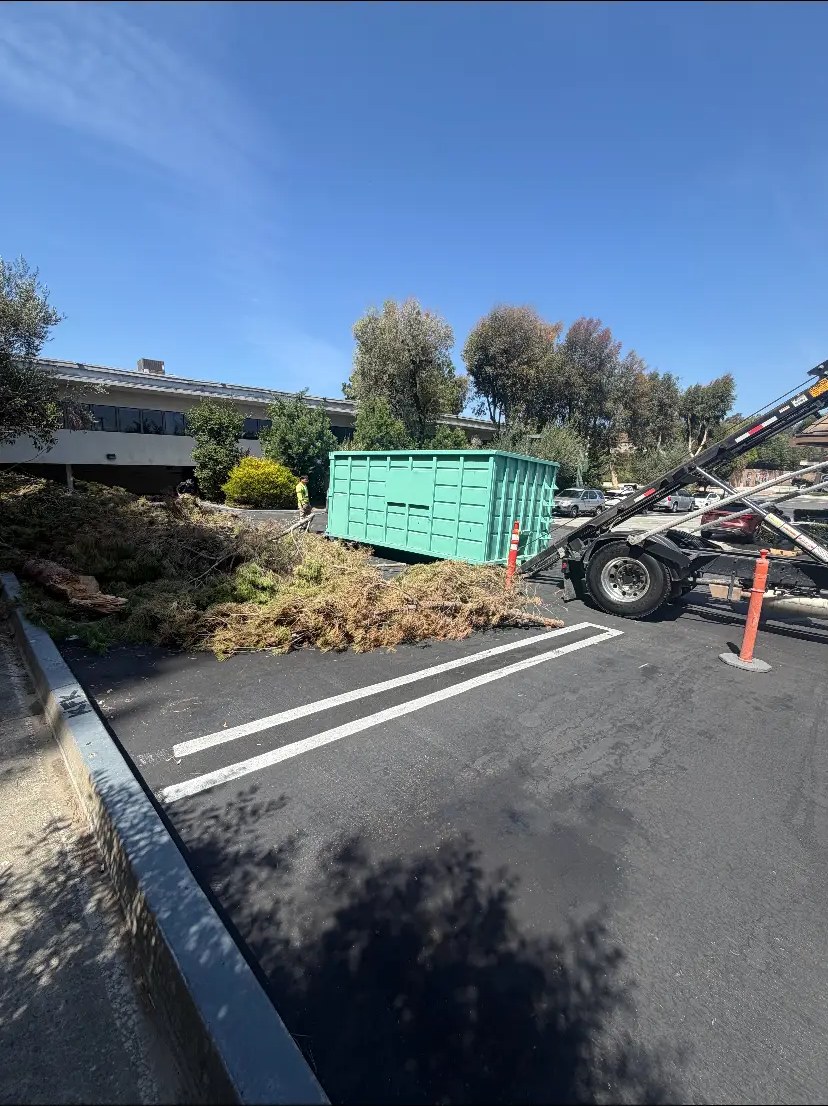 Green waste bin and truck removing palm and tree debris from a commercial property