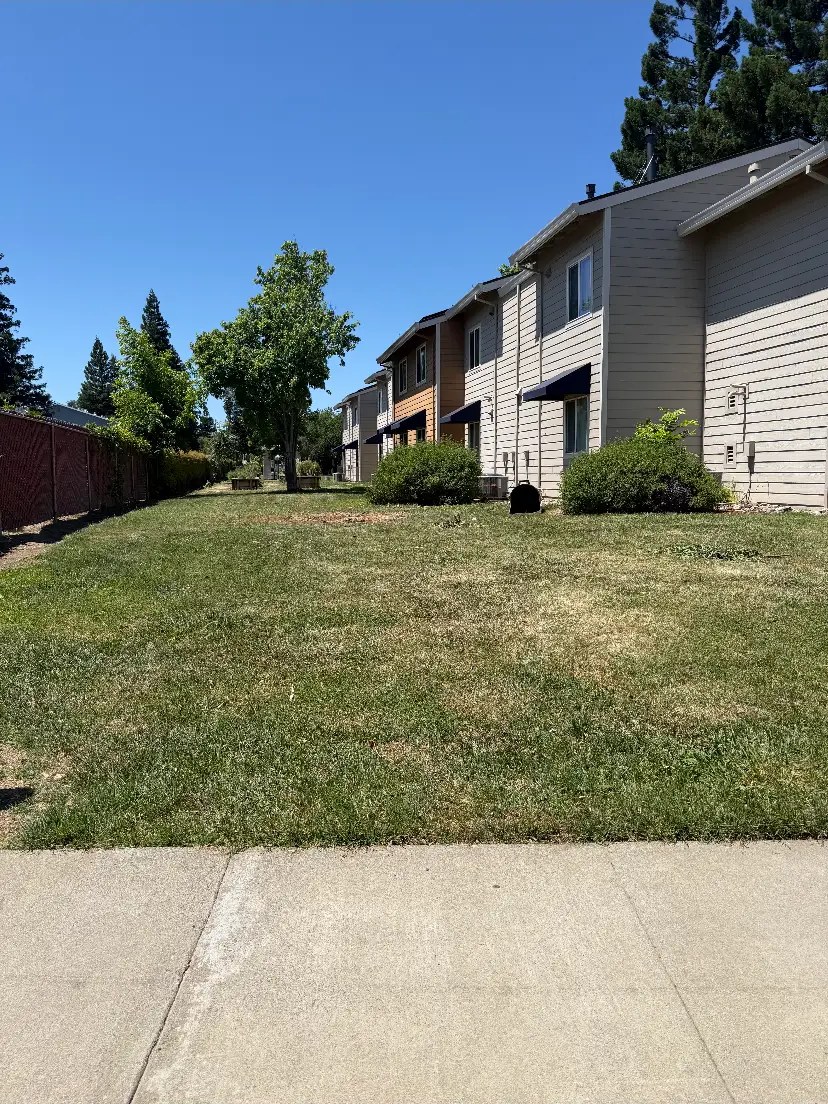 Lawn cleared and cleaned after a fallen tree removal